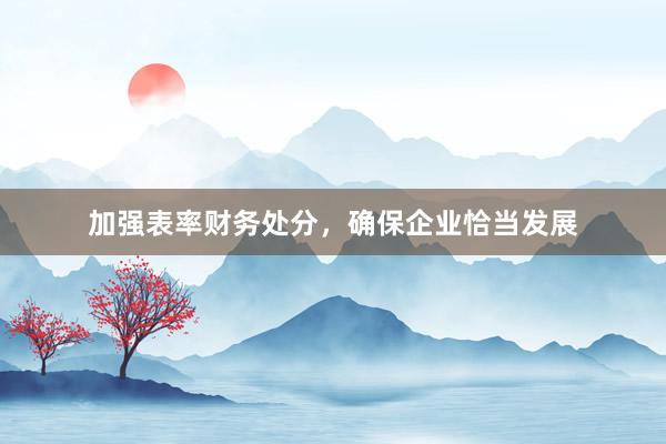 加强表率财务处分，确保企业恰当发展