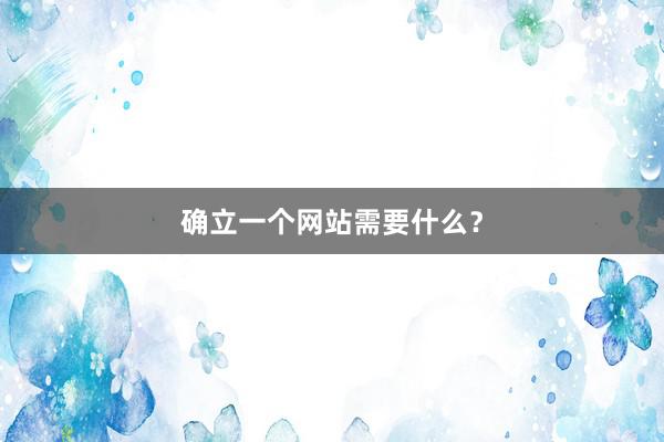 确立一个网站需要什么？